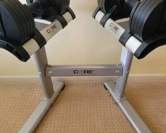 Core Adjustable Dumbbell's with Stand.