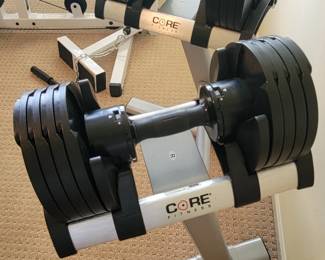 Core Adjustable Dumbbell's with Stand.
