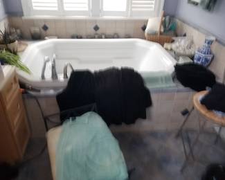 Spa tub