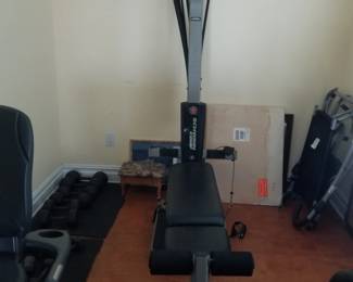 Schwinn resistance gym system