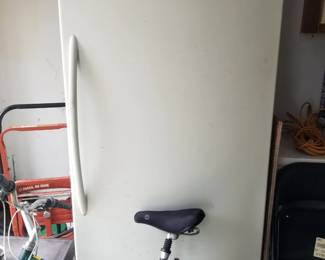 Garage freezer