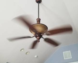 Ceiling fan