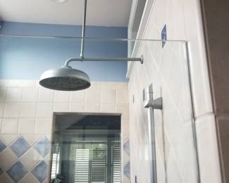 Showerhead; glass shower enclosure