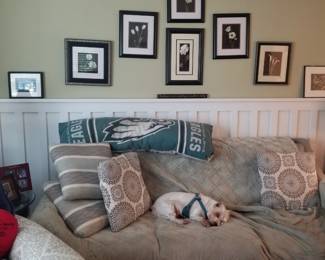 Cozy couch