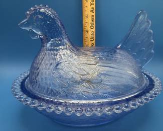 Blue nesting hen. 