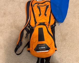 CamelBak Lobo Hydration Pack ($12)
