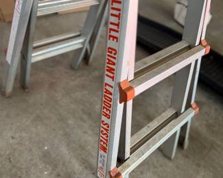 Little Giant Ladder System ($65)