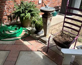 Plants
