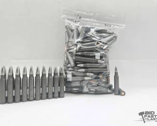 1195  Bag of Mixed .223 Rem Ammunition