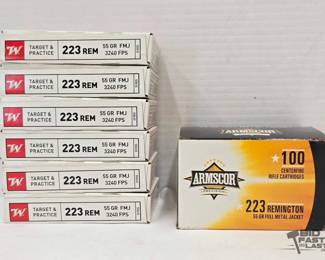 1290 220 Rounds of .223 REM Ammo