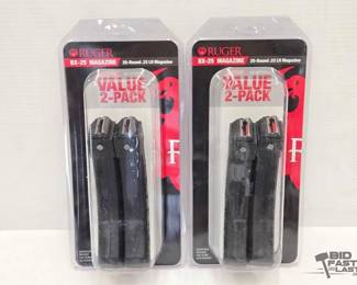 1552  2 25rd Ruger .22LR Magazines