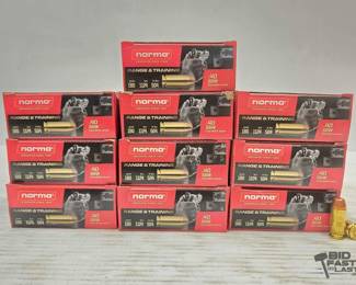1367  500 Rounds of .40 SW Ammunition
