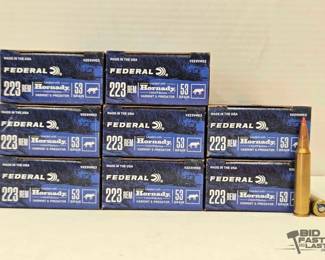 1282 160 Rounds of .223 REM Ammo