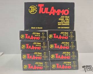 1404  260 Rounds of .223 Rem Ammunition