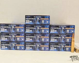 1300 200 Rounds of .308 WIN Ammo