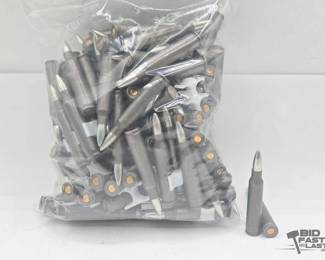 1190  Bag of .223 Rem Ammunition