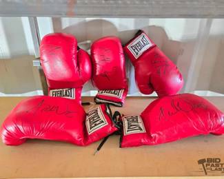 5542  Signed Boxing Gloves