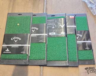 3038 5 Callaway Launch Zone