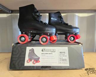 5046  Chicago Skates