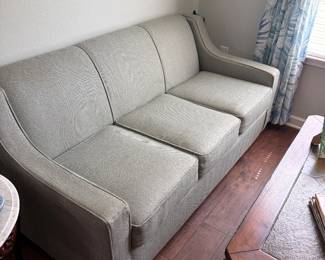 Sleeper sofa 