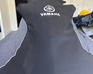 BUY IT NOW! $17,000.00.  A 2019 Yamaha FX Limited Waverunner Jet ski & 2007 Seadoo GT1, 4Tec, Jet ski, includes 2019 Triton trailer.
