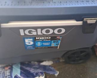 Igloo