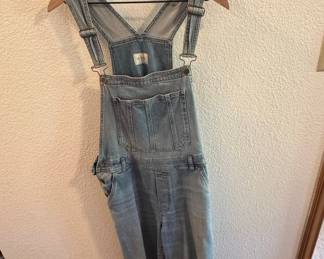 Free People We The Free Denim Overalls