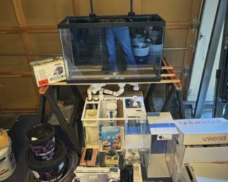 Custom Saltwater Reef Aquarium Setup with Sump and Filtration