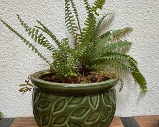Glazed Ceramic Leaf-Pattern Planter with Boston Fern