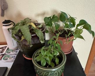 Assorted Ceramic Houseplant Planters