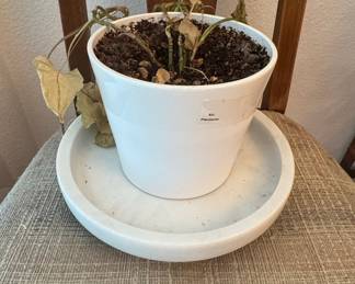 Plantsome Ceramic Planter and Saucer Set
