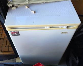 compact refrigerator or mini freezer