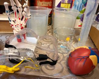 Educational Laboratory, Beakers, Human Heart 