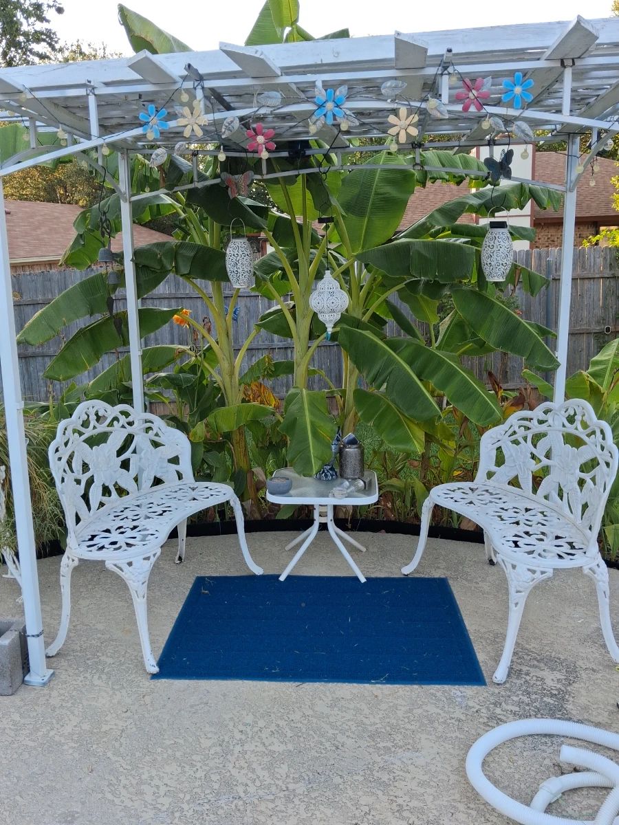 Banana Tree Chilling Station