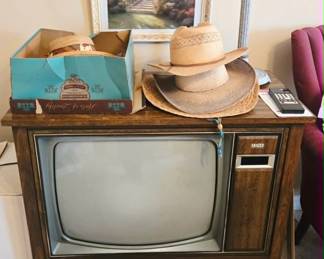 Vintage Zenith Box TV
