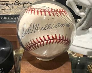 Ted Williams 