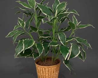 Artificial Hosta Patriot Plant in Woven Basket second image