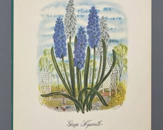L. Lovett Grape Hyacinth Botanical Print third image