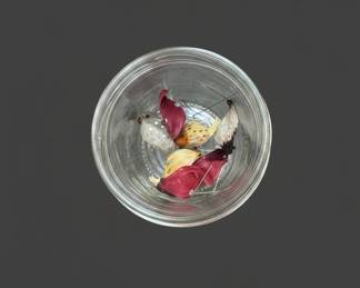 Vintage Moth and Butterfly Specimens in Jar