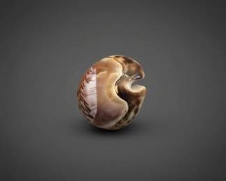 Scrimshawed Tiger Cowrie Shell with Sea Turtle ninth image