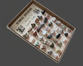 Vintage Educational Mineral Specimens Collection and Flower Press Kit
