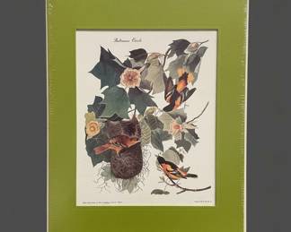 John James Audubon Baltimore Oriole Print fourth image