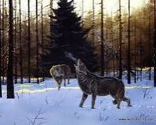 Twilight Survivors, signed and numbered print
