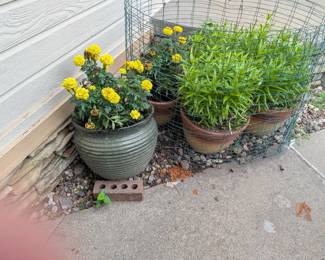 Outdoor Flower Pots