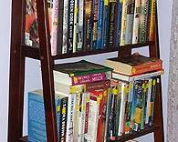 A frame shelf, books and TV