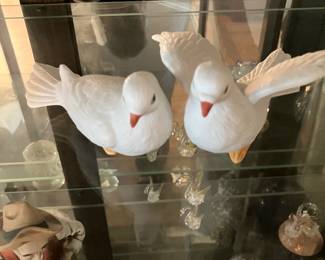 Honco Doves