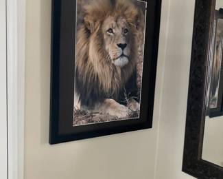 Lion print