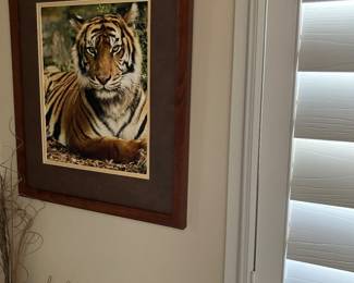 Tiger print