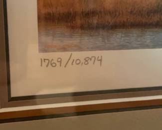 Robert A. Ginder Federal Duck Stamp Print
