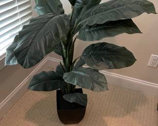 Artificial Dieffenbachia Plant